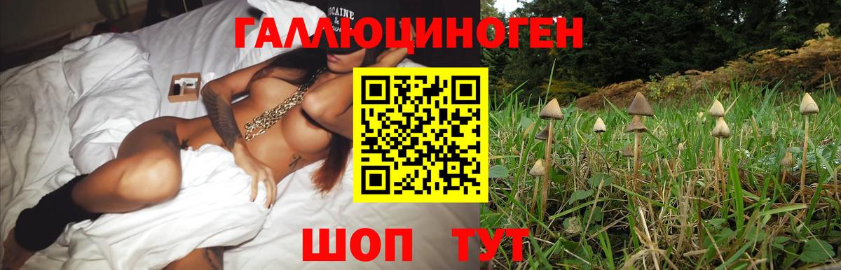 Калуга  Псилоцибиновые грибы ЛСД  Псилоцибиновые грибы мицелий  Вход с VPN 