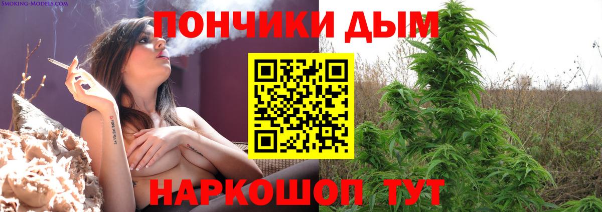Конопля Bruce Banner  Вход с VPN  Канабис гибрид  Калуга 